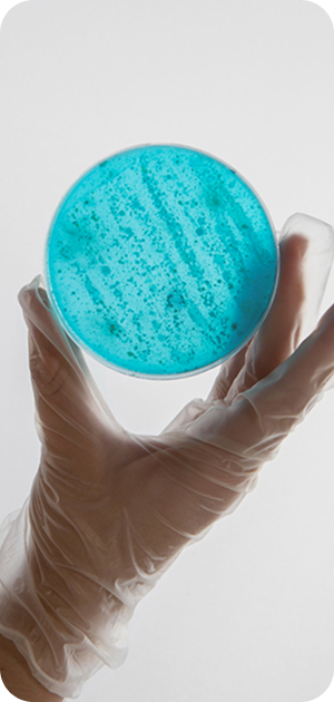 наши услуги